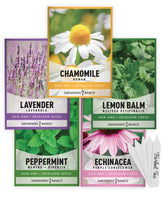 Gardeners Basics 5-varieties herbal tea seeds pack for indoor or outdoor gardens for fresh tea blends.
