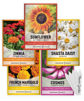 Gardeners Basics Autumn Beauty Sunflower seeds bloom in warm color, attracting pollinators.
