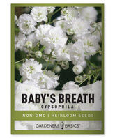 Gardeners Basics Baby's Breath seeds pack open-pollinated Gypsophila for bright summer bouquets