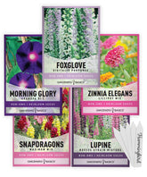 Gardeners Basics hummingbird seeds pack ready to sow for vibrant blooms.
