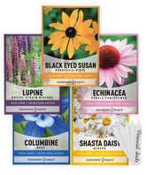 Gardeners Basics lupine russel strain mix in bloom for vibrant borders and pollinators.