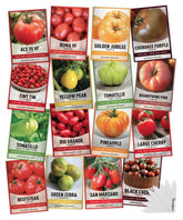 Gardeners Basics Tiny Tim tomato seeds for compact container gardens.