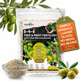 GardenWise Olive Tree Fertilizer granules ready to apply for healthy growth