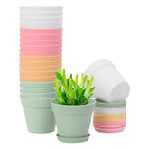 GARDIFE 20-pack 4-inch pot with matte finish for stylish indoor plant display.