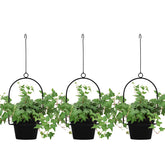 Gardzen 3-pack hanging pots assembly shows space-saving setup