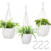 Garini macrame plant hanger 3-pack with natural cotton cord for stylish indoor display.
