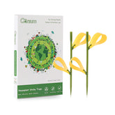 Garsum 21 Traps sticky houseplant trap in yellow catches gnats and fruit flies indoors.