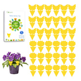 Garsum fruit fly sticky trap, 36-pack, for indoor and outdoor pest control.