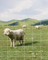 GarveeTech 9GA fence mesh closeup showing rugged construction for durable livestock protection.