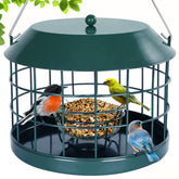 Gbekery Caged Bluebird Feeder front view highlights safe access for small birds
