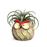 GeLive Owl succulent pot ceramic for desk decor