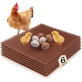 Gebena chicken nesting pads 12x14 pack provide durable, washable bedding for a clean coop.