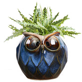 GeLive blue owl planter with drainage hole for thriving indoor succulents
