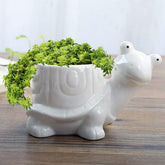 GeLive tortoise succulent planter on desk, ideal for small plants and charm