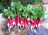 Generic 1200 French Breakfast radish seeds bag front for organic home gardening