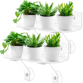 Generic 12-inch window shelf with suction cups for stable herb display.