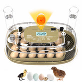 Generic 24-egg incubator front view with digital display for precise climate control.