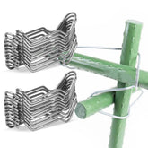 Generic stake clip on 8mm clamp provides sturdy climbing plant support