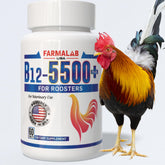 Farmalab B12 5500 Plus bottle pour for easy dosing to support poultry vitality