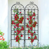 Generic Lorenzo trellis assembly shows quick setup outdoors for climbing plants