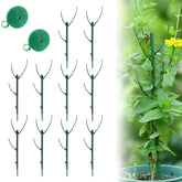 Generic stackable monstera plant support poles stabilizing a tall indoor plant