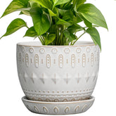 G EPGardening ceramic white round pot for stylish indoor or outdoor display.