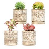 Gepege 4-inch succulent pot with drainage holes for healthy root drainage.