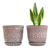 Gepege ceramic planter with drainage holes for healthier roots.