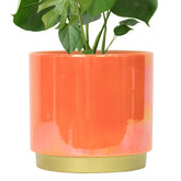 Gepege Peach ceramic planter front view with rainbow glaze for stylish indoor decor.