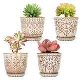Gepege 4 inch cream succulent pot with drainage holes for healthy watering.