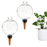 GEWOSI plant self-watering globe 500ml ready to nourish indoor pots