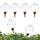 GEWOSI self-watering globes with covers; top-fill design for easy refills.
