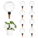GEWOSI self-watering globe for indoor plants in a living room setup