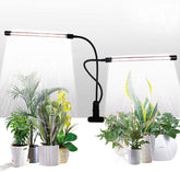 GHodec grow light with two bars provides full spectrum illumination for indoor leafy plants.