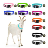 GINDOOR reflective goat collar with crisp bells for night visibility.