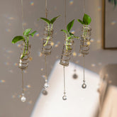 Glasseam hanging propagation station with chain and sun pendant for stylish plant propagation.