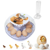 GleeGearNex Gen I 12-egg incubator front view highlights compact, beginner-friendly design.
