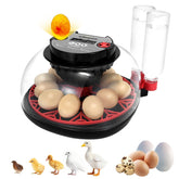 GleeGearNex Gen II 12-Egg incubator front view shows compact, beginner-friendly design for home use