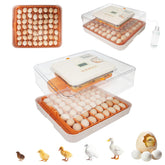 GleeGearNex Gen IV 56-egg incubator front view highlighting high-capacity automation for hatchers