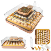 GleeGearNex Gen IV 48-egg incubator front view shows sturdy design and controls