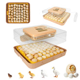 GleeGearNex Gen IV 56-egg incubator front view with digital display for precise monitoring
