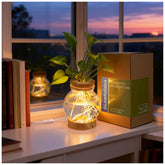 Glowfulidea propagation station with light for desk-top hydroponic growth and decorative appeal.