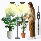 GLOWRIUM grow lamp on its stand provides even light for seedling growth.