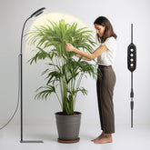 GLOWRIUM grow light base provides stable support for consistent indoor lighting.