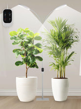 GLOWRIUM full-spectrum panel delivers balanced light for healthy seedling growth.