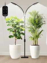 Glowrium Grow Lights full-spectrum beam supports indoor plant growth.