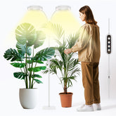 GLOWRIUM two-head plant light delivering even coverage for indoor greens