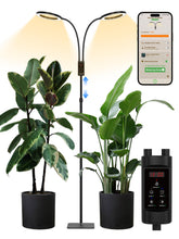 Glowrium height-extended grow light supports tall plants with adjustable reach.