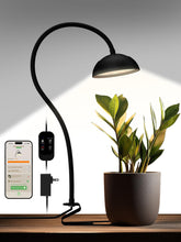 GLOWRIUM Smart Grow Light full spectrum LEDs for vibrant indoor plant growth