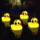 Goallim duck pool light in sunlight charges for night glow